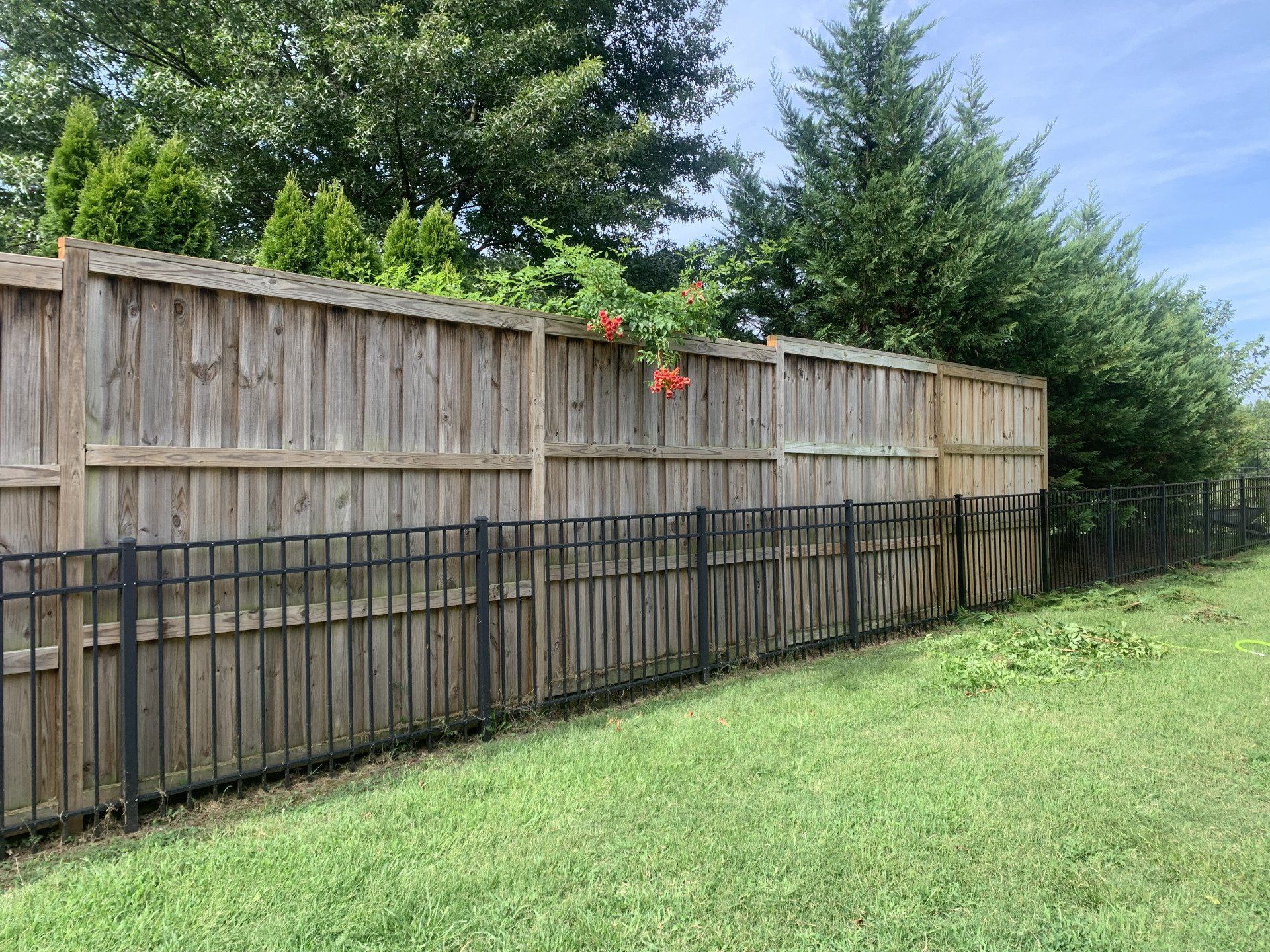 Fence cleaning