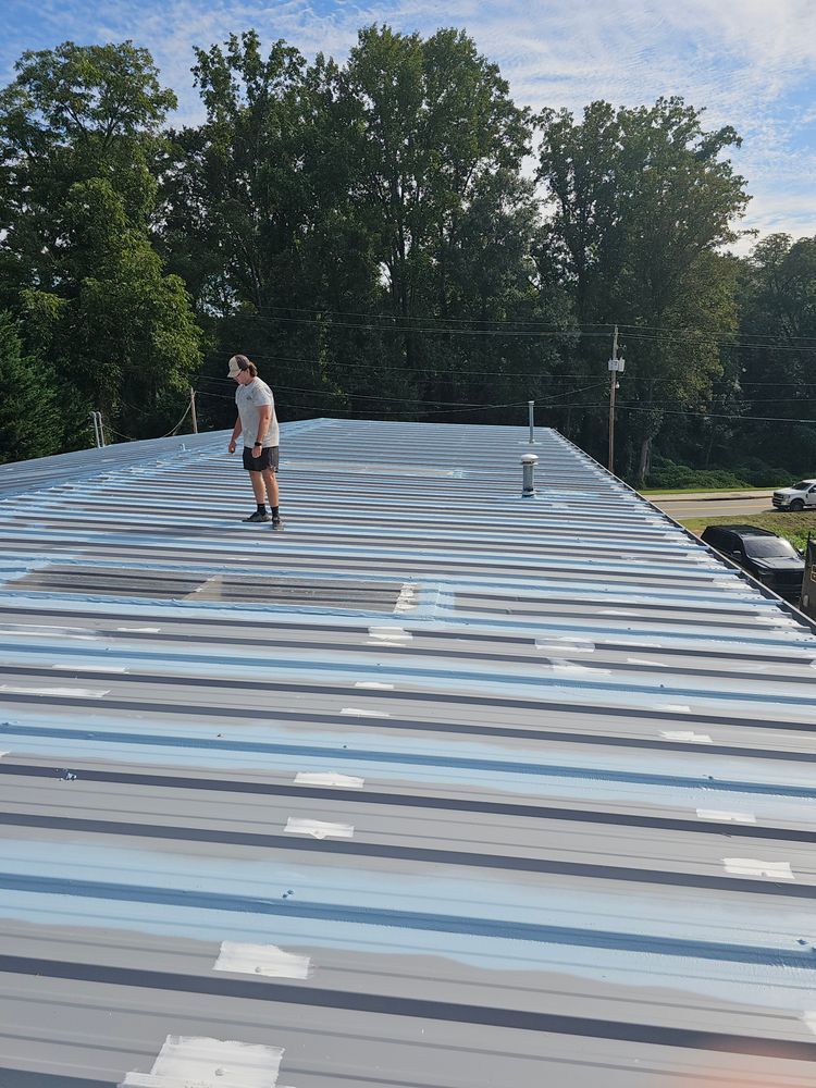 Person standing on a metal roof, looking down. Sunny outdoor setting with trees in the background.
