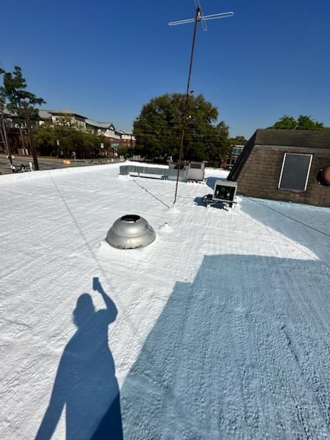 A light blue roof with white coating, antenna, dome vent, and a shadow of a person.
