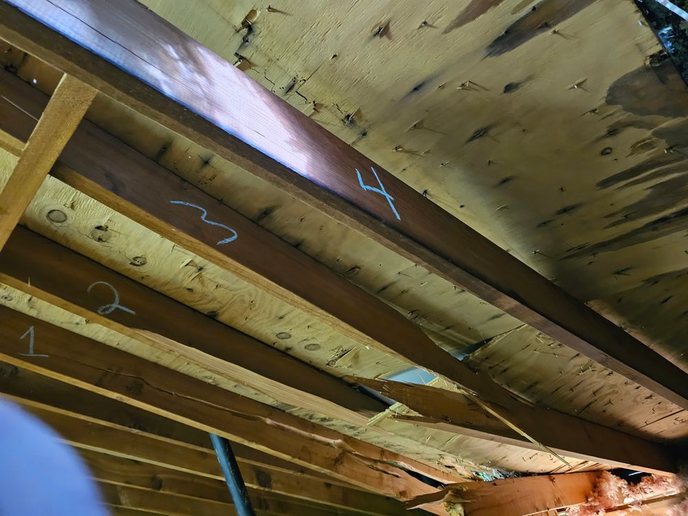 Wooden joists in a ceiling. Some numbered, showing damage and discoloration.
