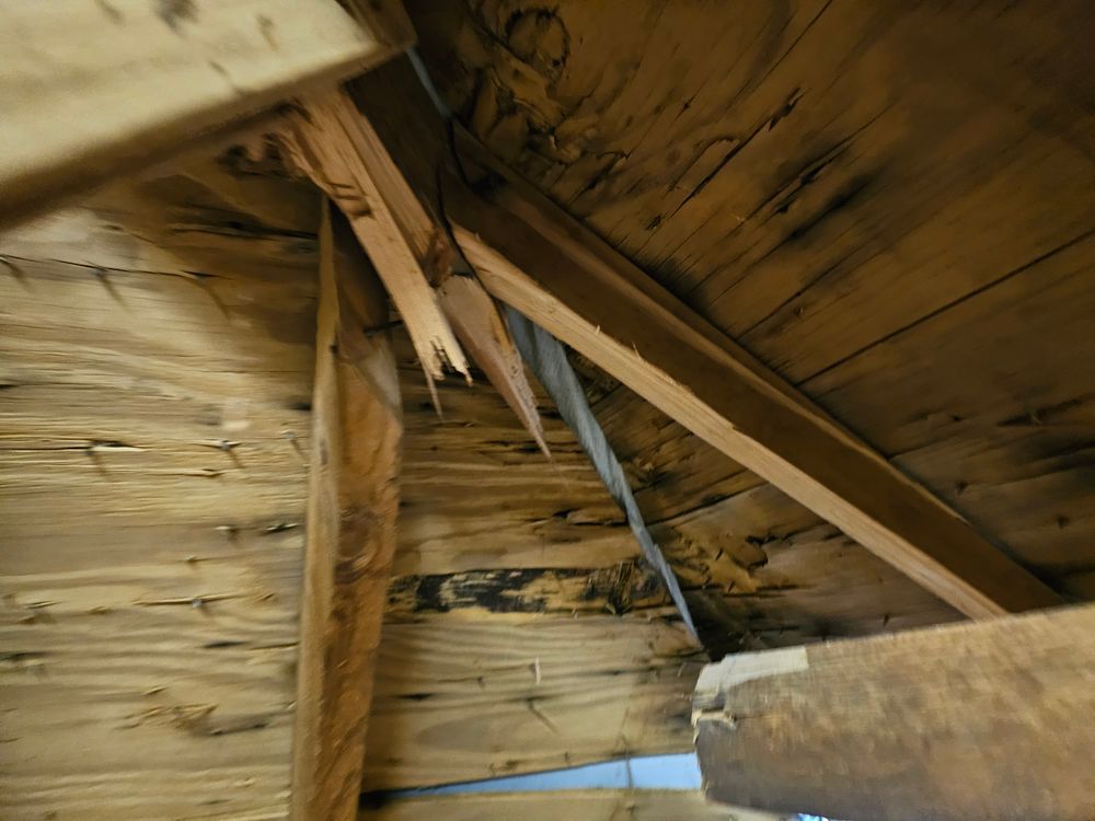 Interior view of a damaged wooden attic structure. Broken rafters and water damage visible.