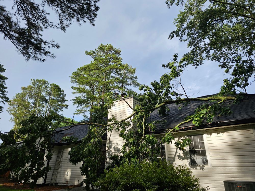 Tree branch fallen on a house roof; overcast sky.