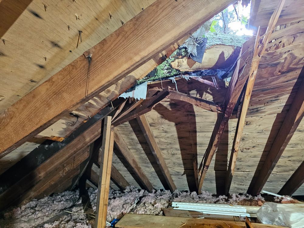 Interior view of a damaged attic, sunlight shining through a hole in the roof. Wooden beams and insulation are visible.