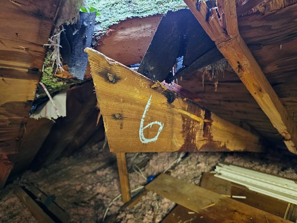 Interior view of an attic with damaged wood and a beam labeled with the number 