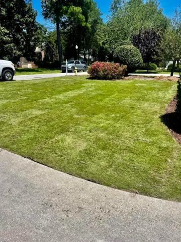A white suv is parked in a driveway next to a lush green lawn.