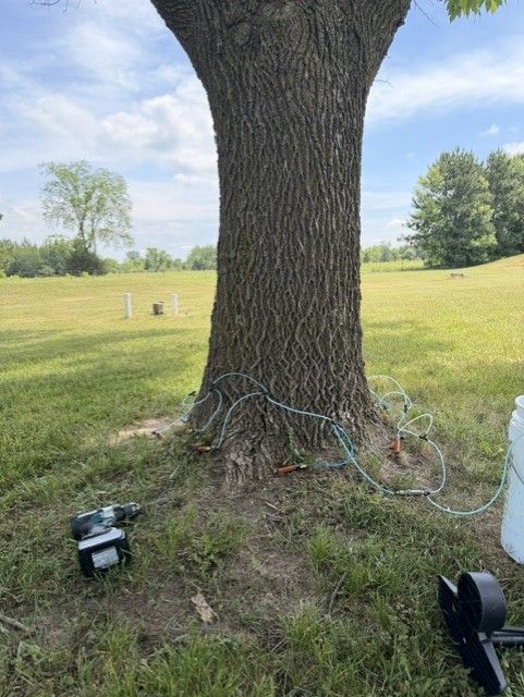 Large tree trunk in a grassy field with cables and small equipment at the base under a partly cloudy sky