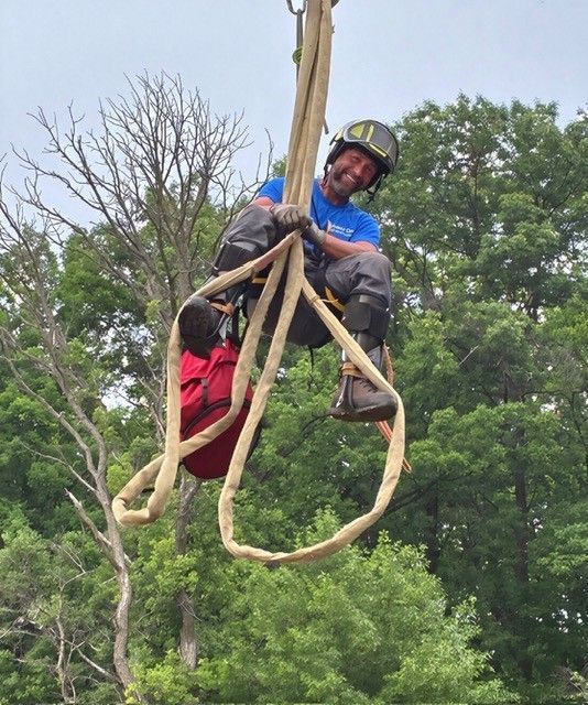 Climber in blue shirt and helmet hangs from ropes high in a tree, surrounded by green foliage.