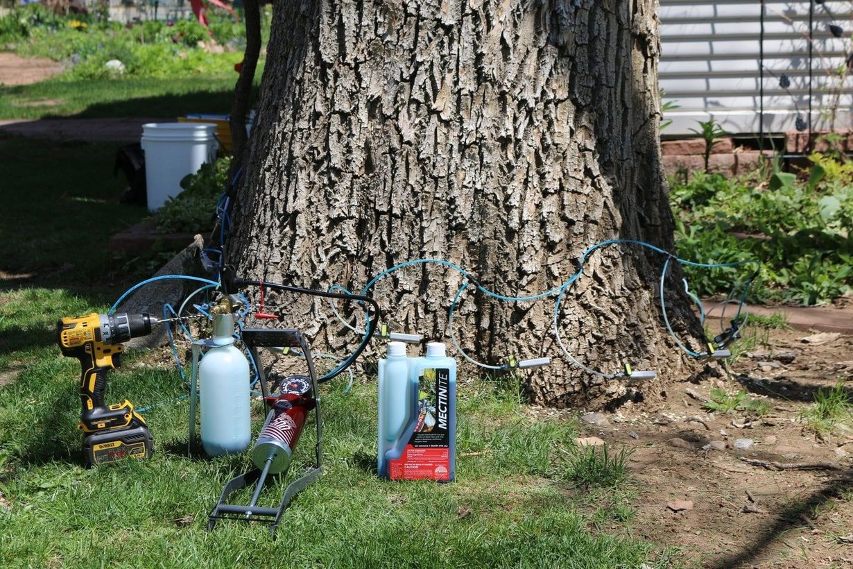 Sprinkler equipment and hoses arranged around the base of a large tree in a yard.