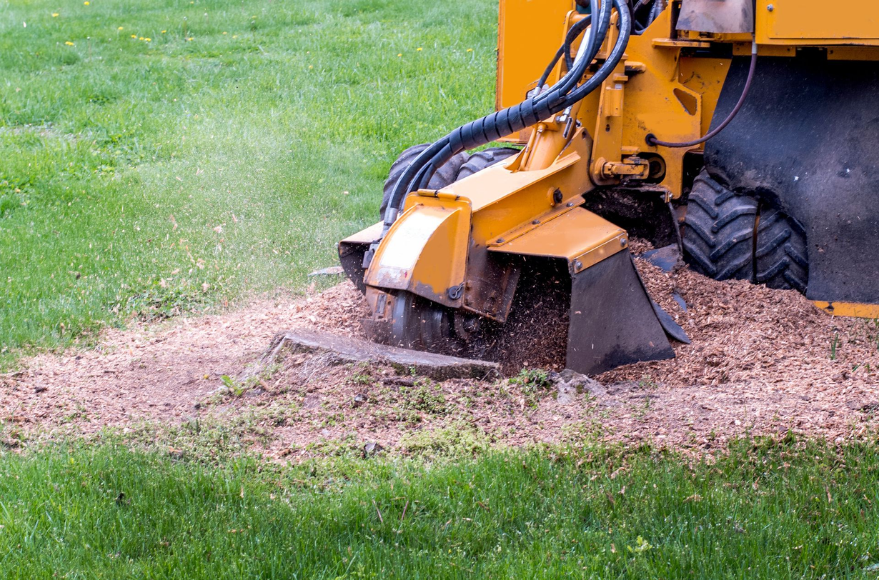Yellow mulcher clearing wood chips and debris on a grassy lawn.