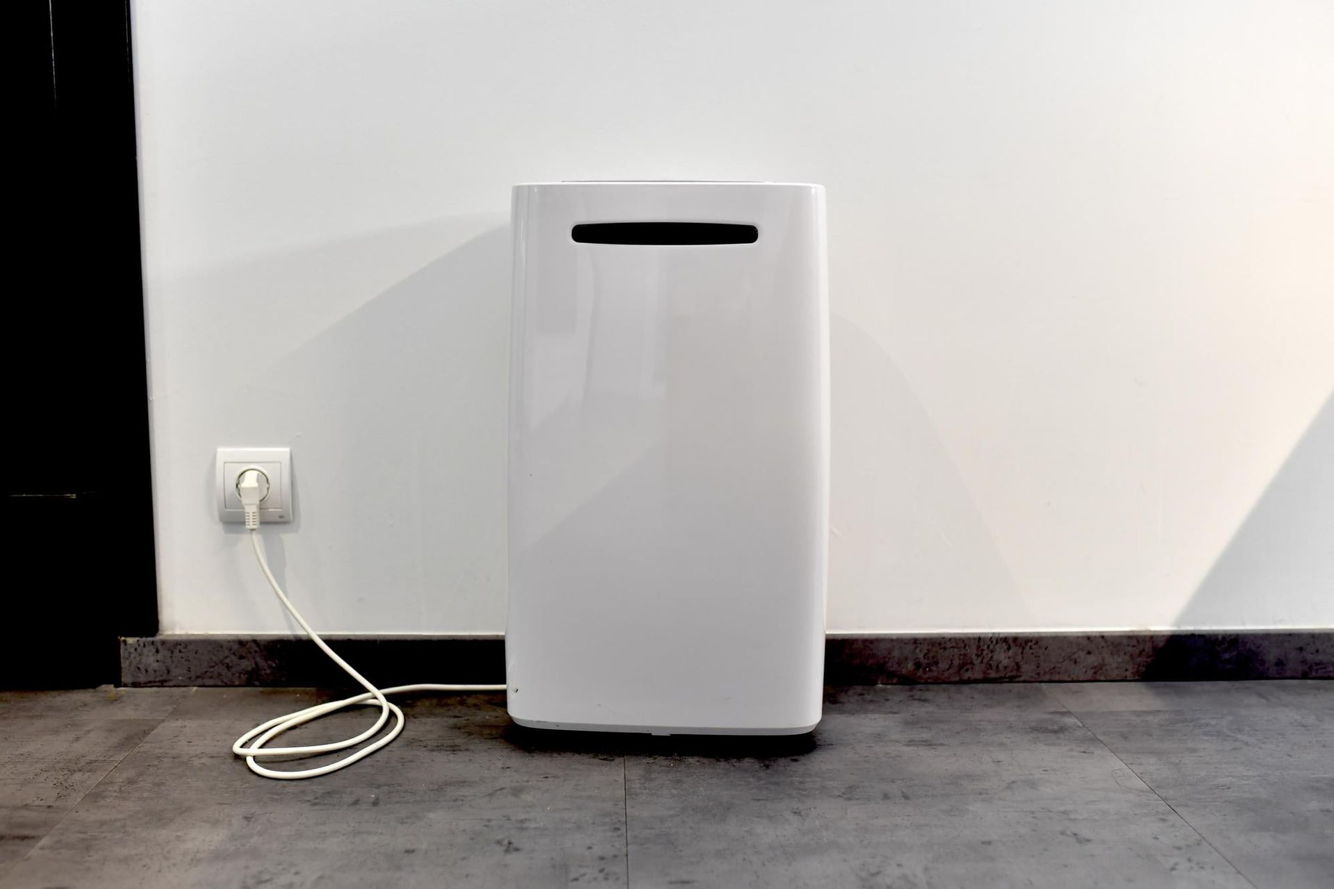 dehumidifier-in-house