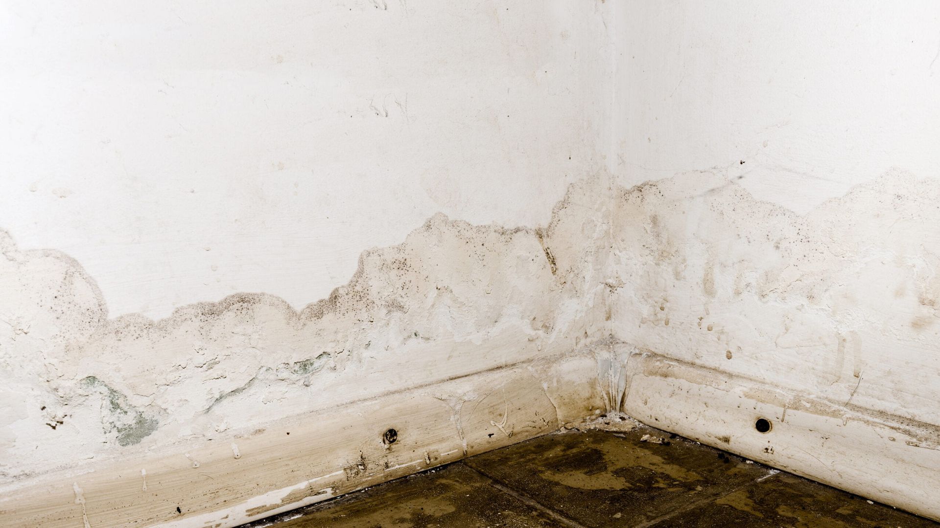 flooding rain water causing spring water damage