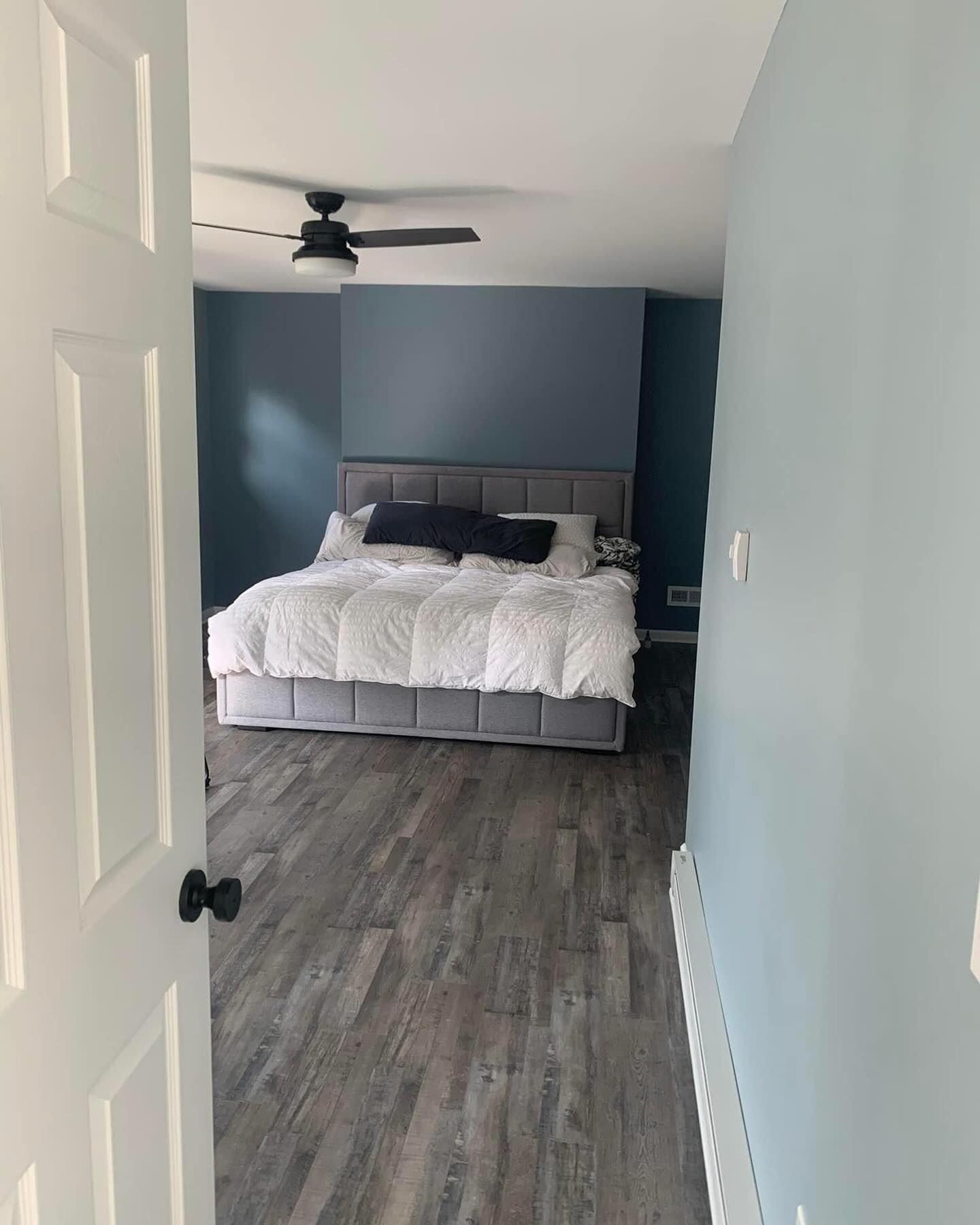 Bedroom with gray bed, blue accent wall, ceiling fan, and wood-look flooring viewed from the doorway