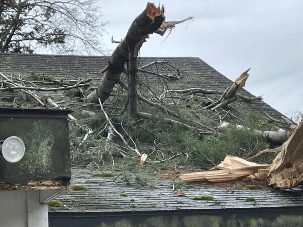 Large tree limb broken over a shingled roof, with scattered branches and storm damage.