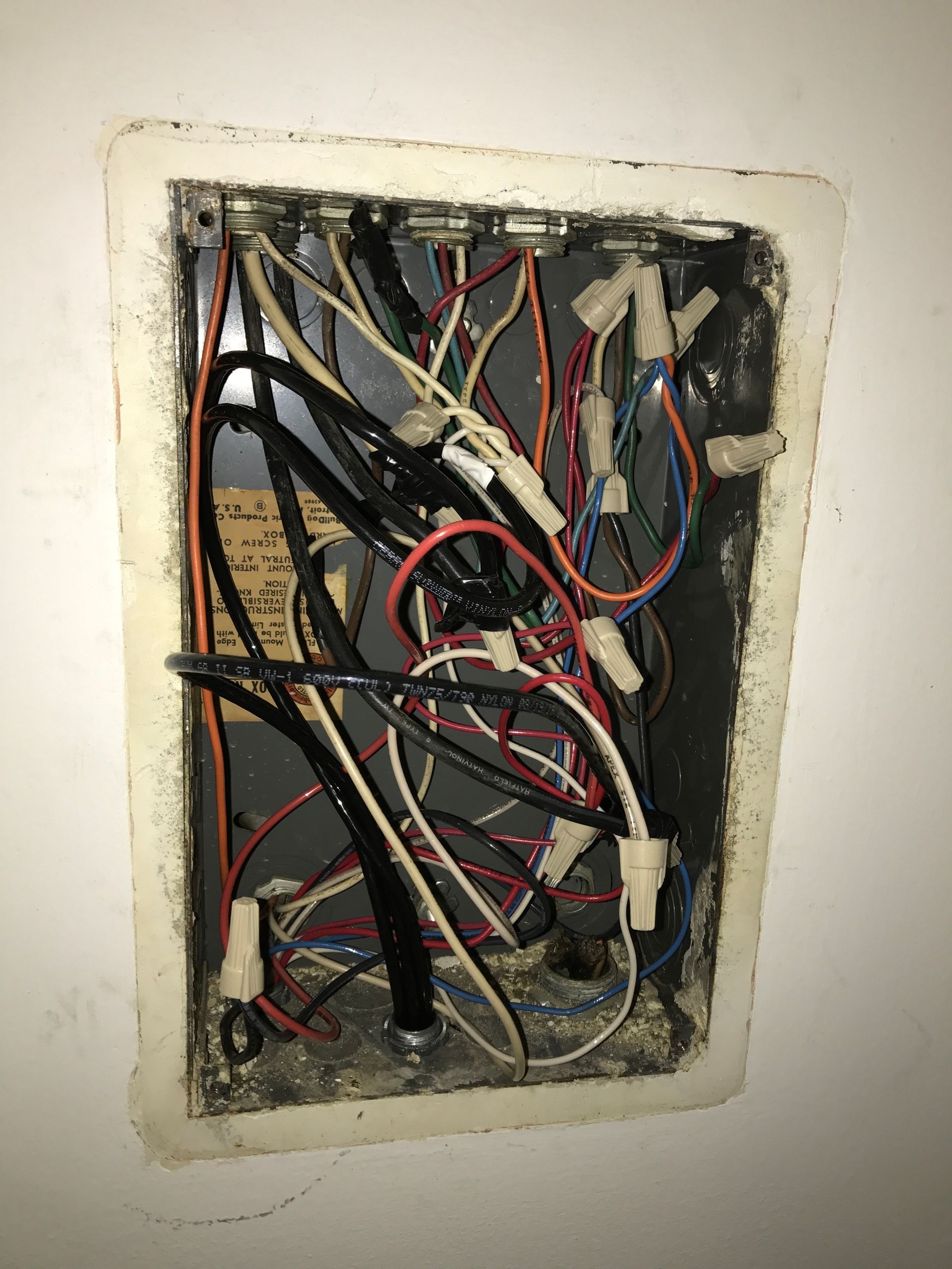 SECTION 8 HOUSING- AFTER (NOT COVERED)