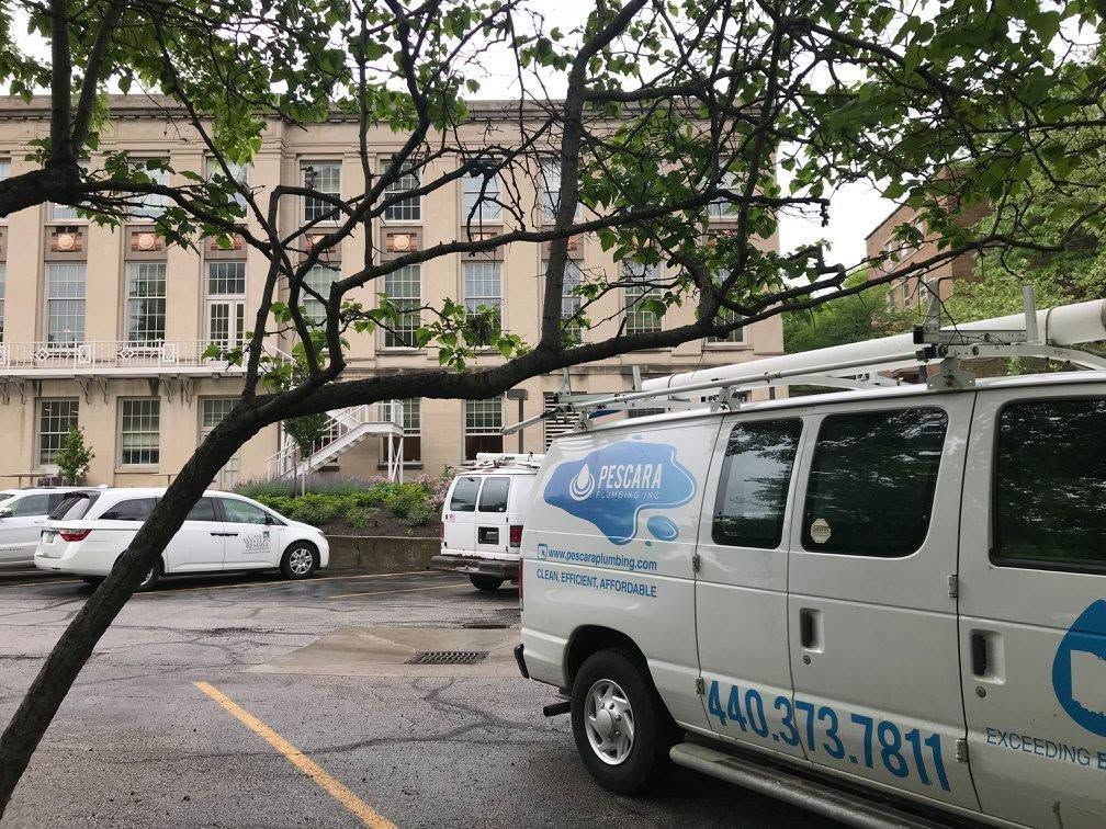 White van and cars parked in front of a beige building behind tree branches.