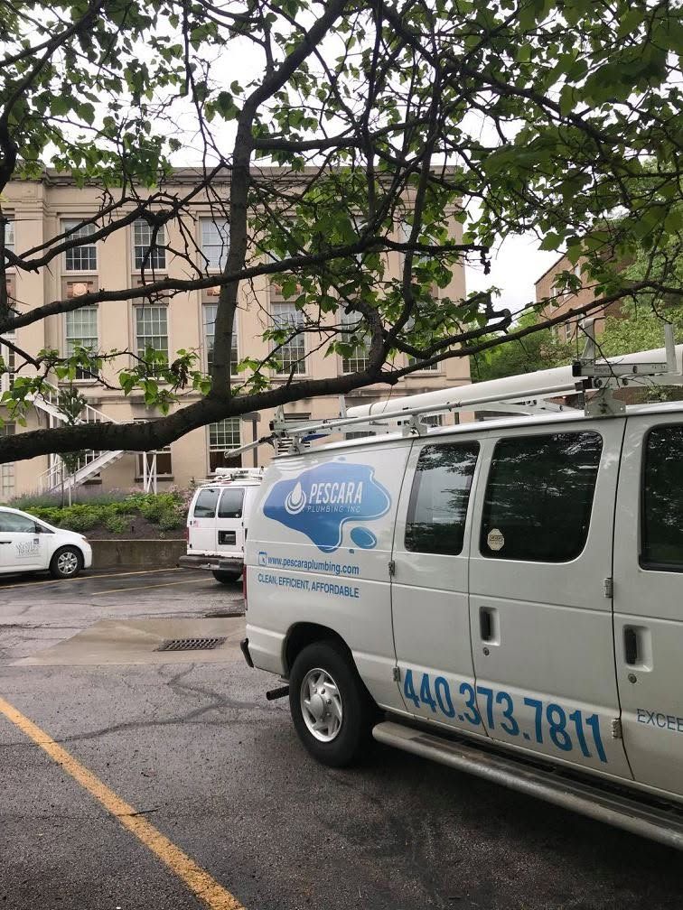 White utility van parked under tree branches in a lot, with other vehicles and a building in the background.