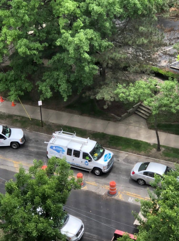 Rainy street with a white utility van, parked cars, orange cones, and trees beside a sidewalk.