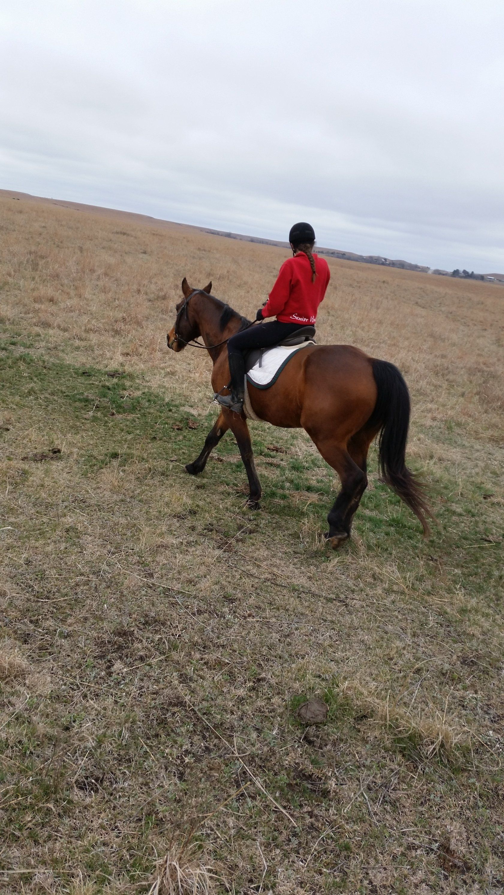 High Horse Stables Photo Gallery Manhattan, KS