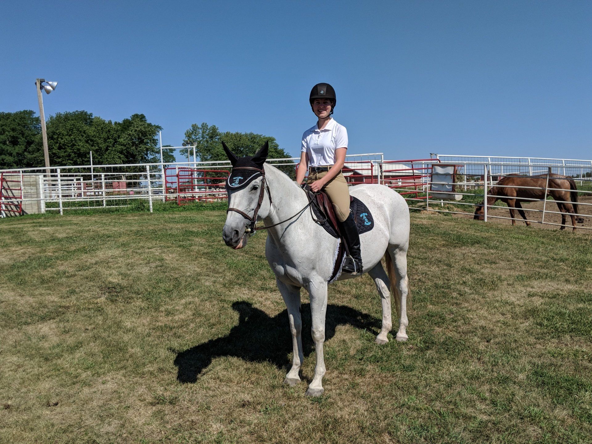 High Horse Stables Photo Gallery Manhattan, KS