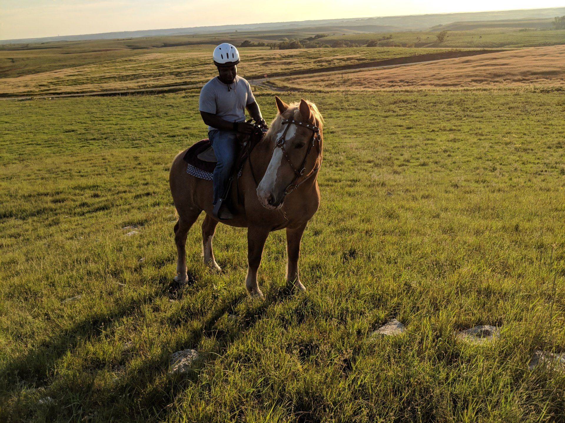 High Horse Stables Photo Gallery Manhattan, KS