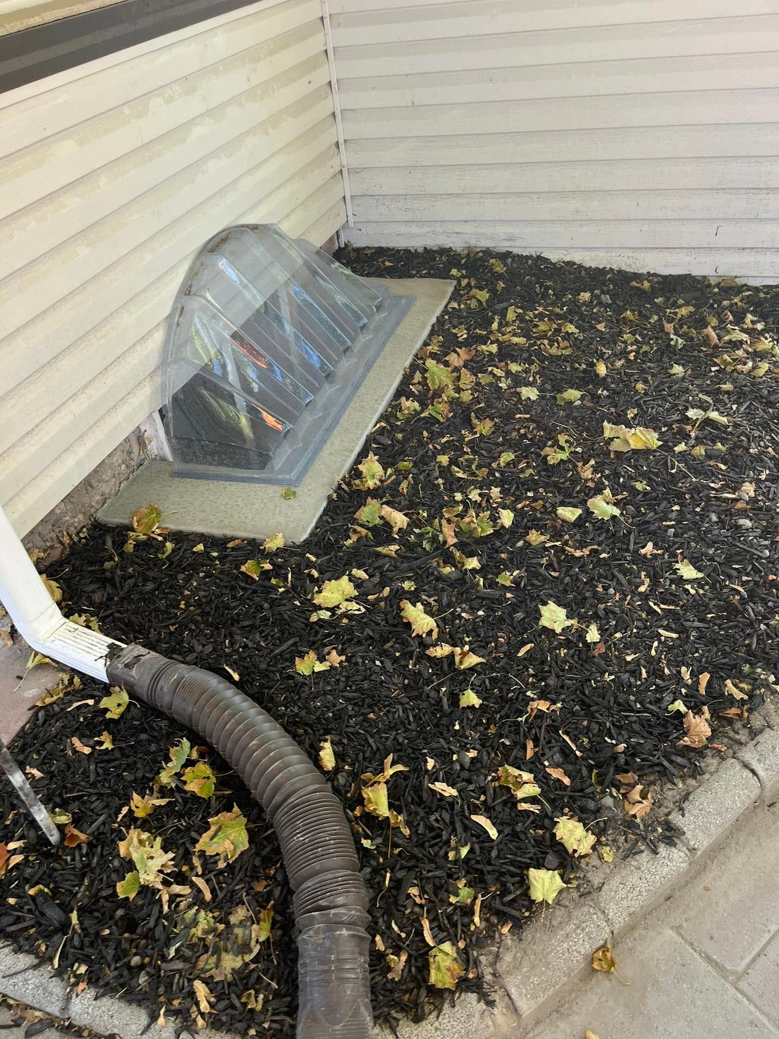 A hose is being used to remove leaves from the side of a house