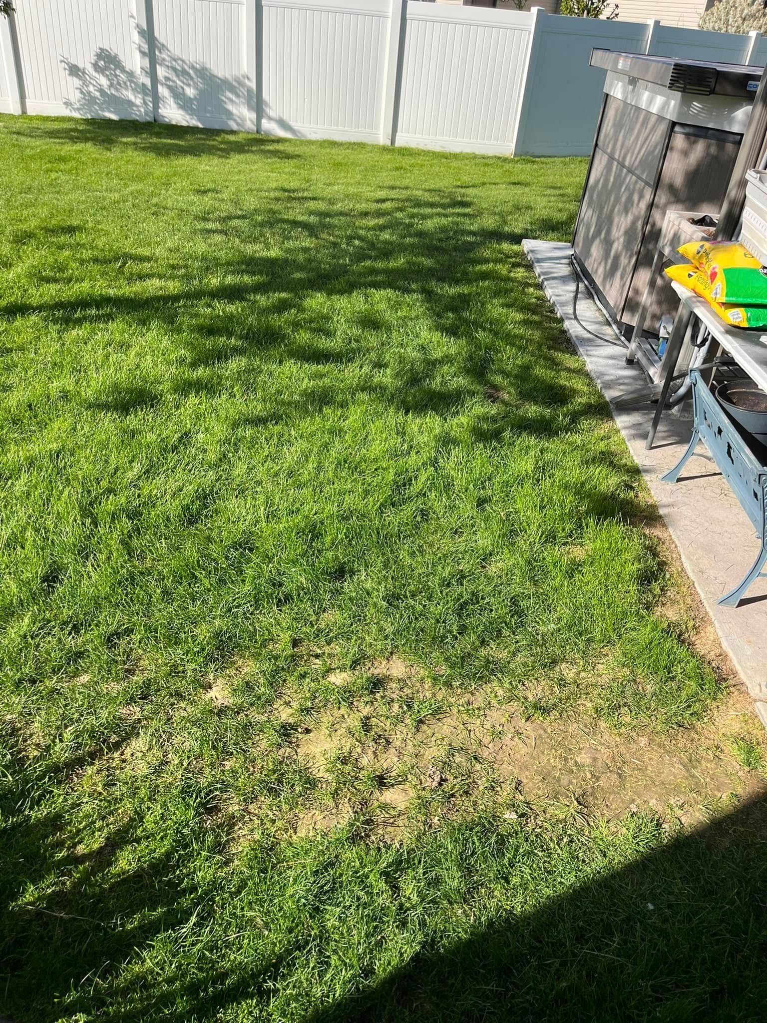 A lush green lawn with a white fence in the background