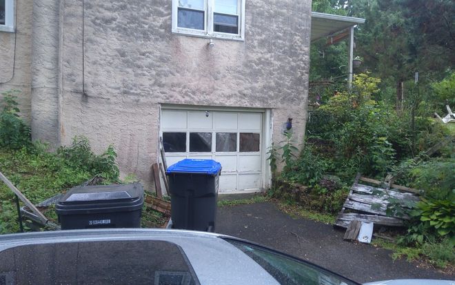 Driveway beside a house with trash bins, a garage door, and overgrown plants along the edge