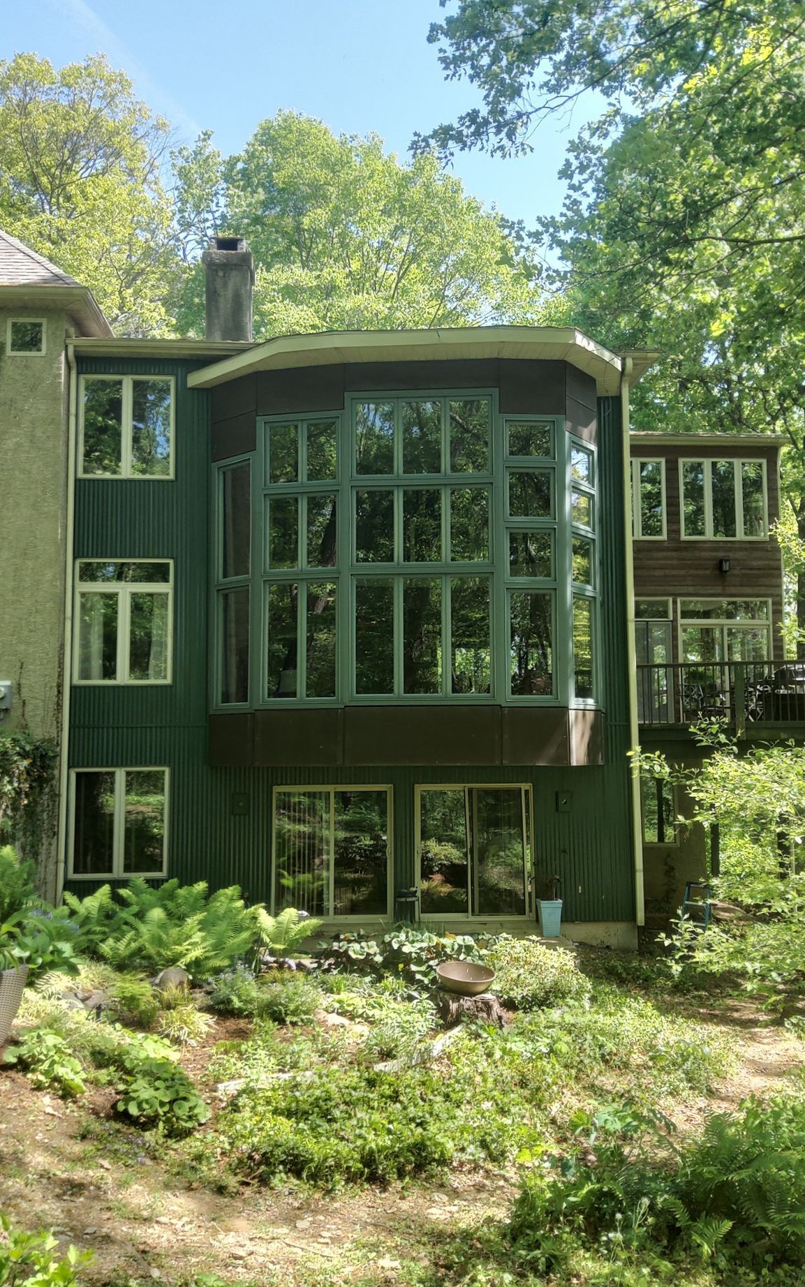 Green modern house with large windows nestled among trees and greenery