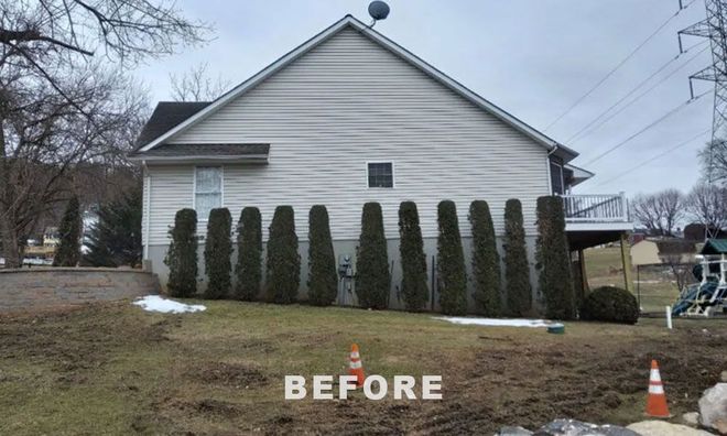 A side view of a light-colored house with a row of narrow evergreen trees planted along the foundation, under a grey sky.