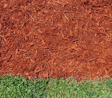 Double Shredded Budky Badger Red