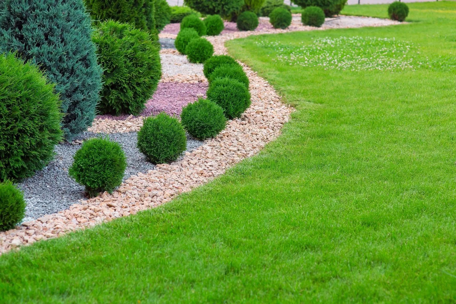 A lush green lawn with bushes and gravel in a garden.