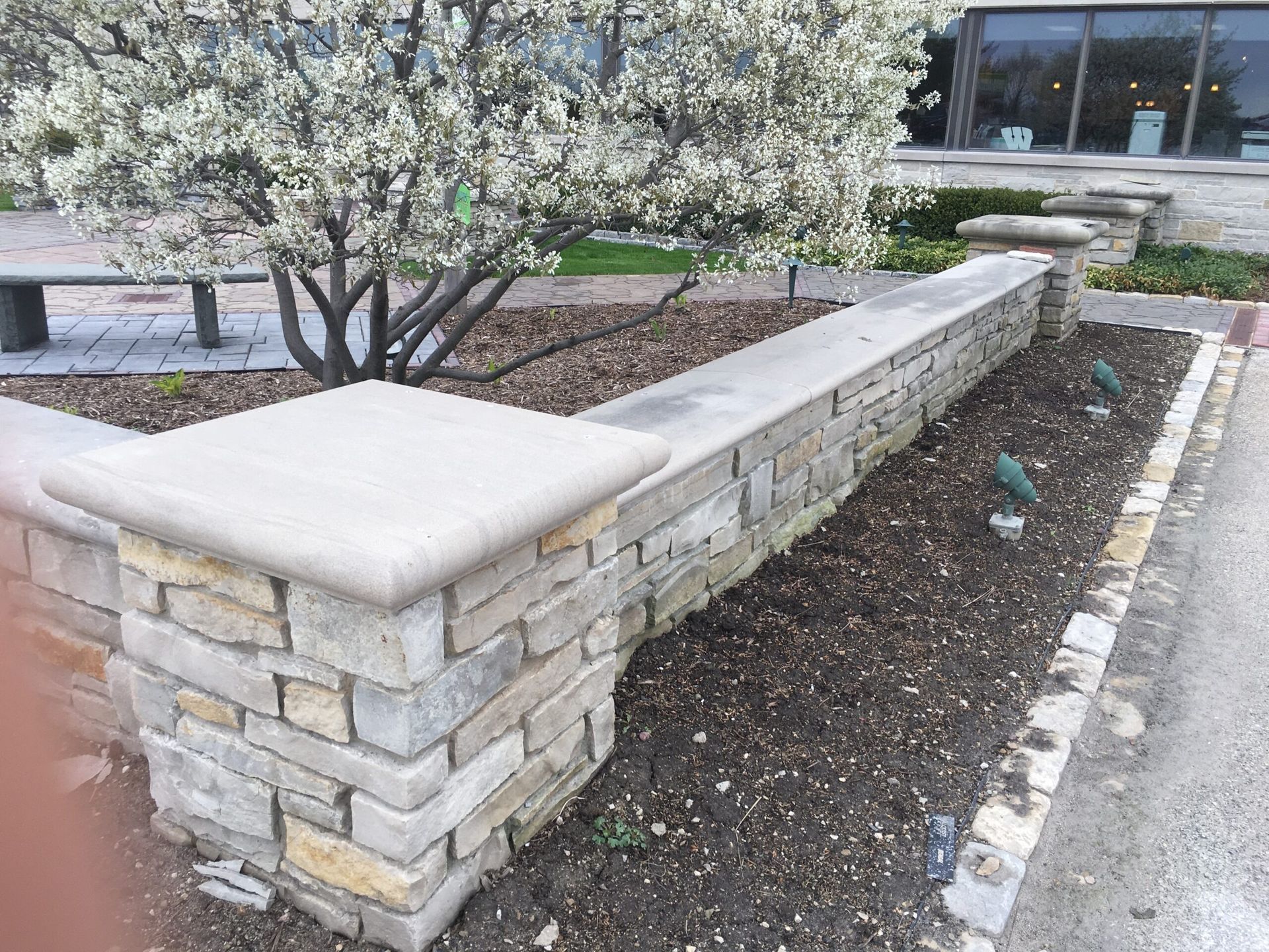 Stone wall with a blooming white tree and flower bed in front of a building.