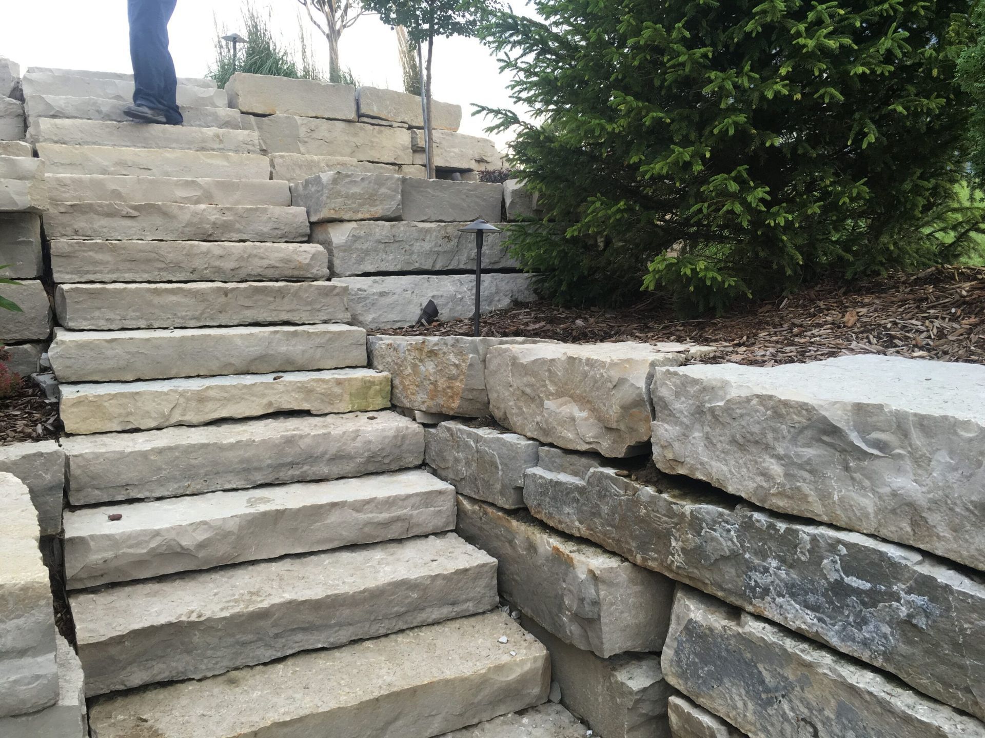 Stone steps leading up a slope, next to a retaining wall and evergreen shrub.