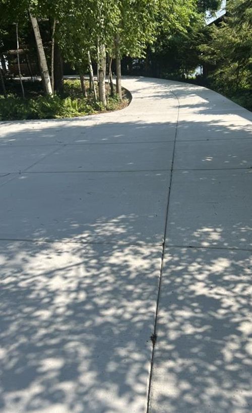 Concrete driveway curves through trees, dappled sunlight casts shadows.