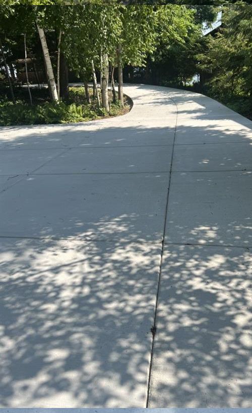 Concrete driveway curves towards a line of trees with dappled sunlight.