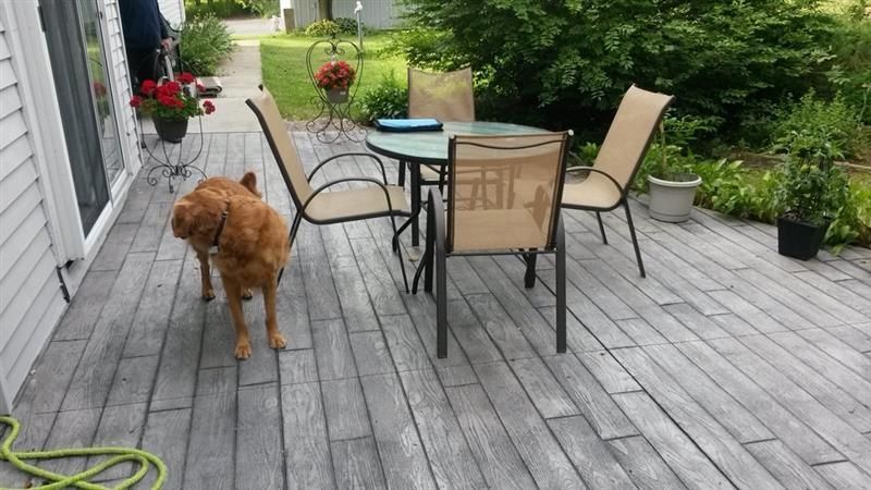 Golden retriever dog on a weathered wooden deck near outdoor dining set.