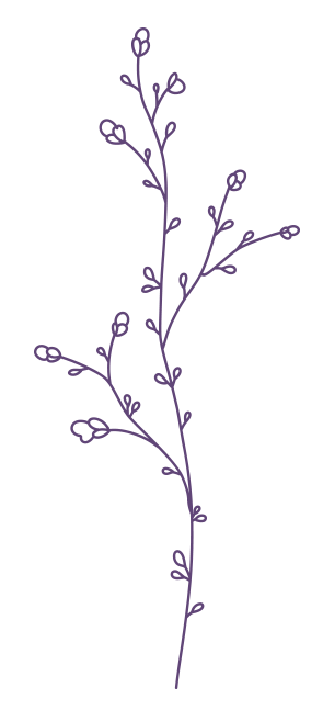 Purple line drawing of a floral sprig with small buds and delicate stems.