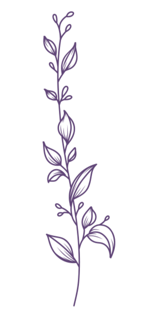 A delicate purple botanical line art illustration of leaves and buds on a stem.