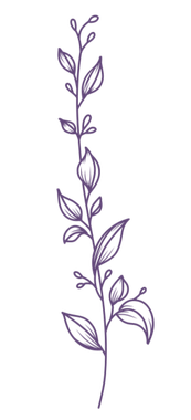 A delicate purple botanical line art illustration of leaves and buds on a stem.