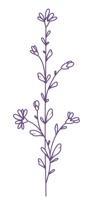 Purple floral stem with small leaves and flowers.