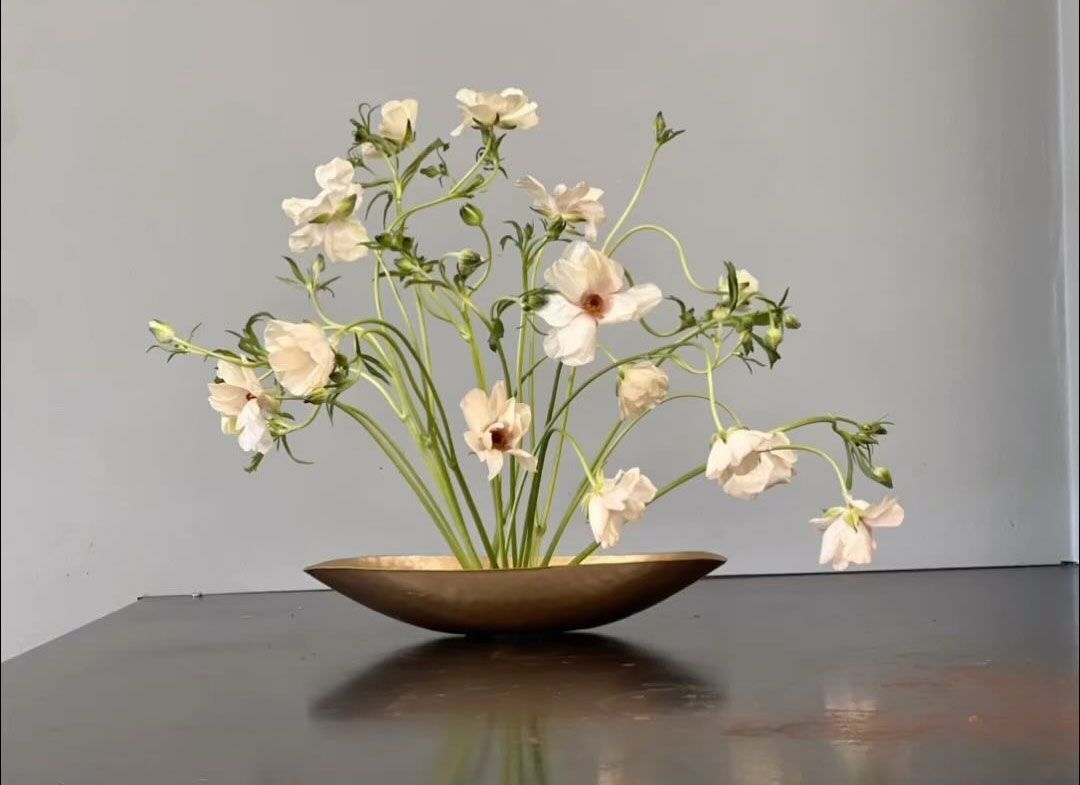 A vase filled with white flowers sits on a table