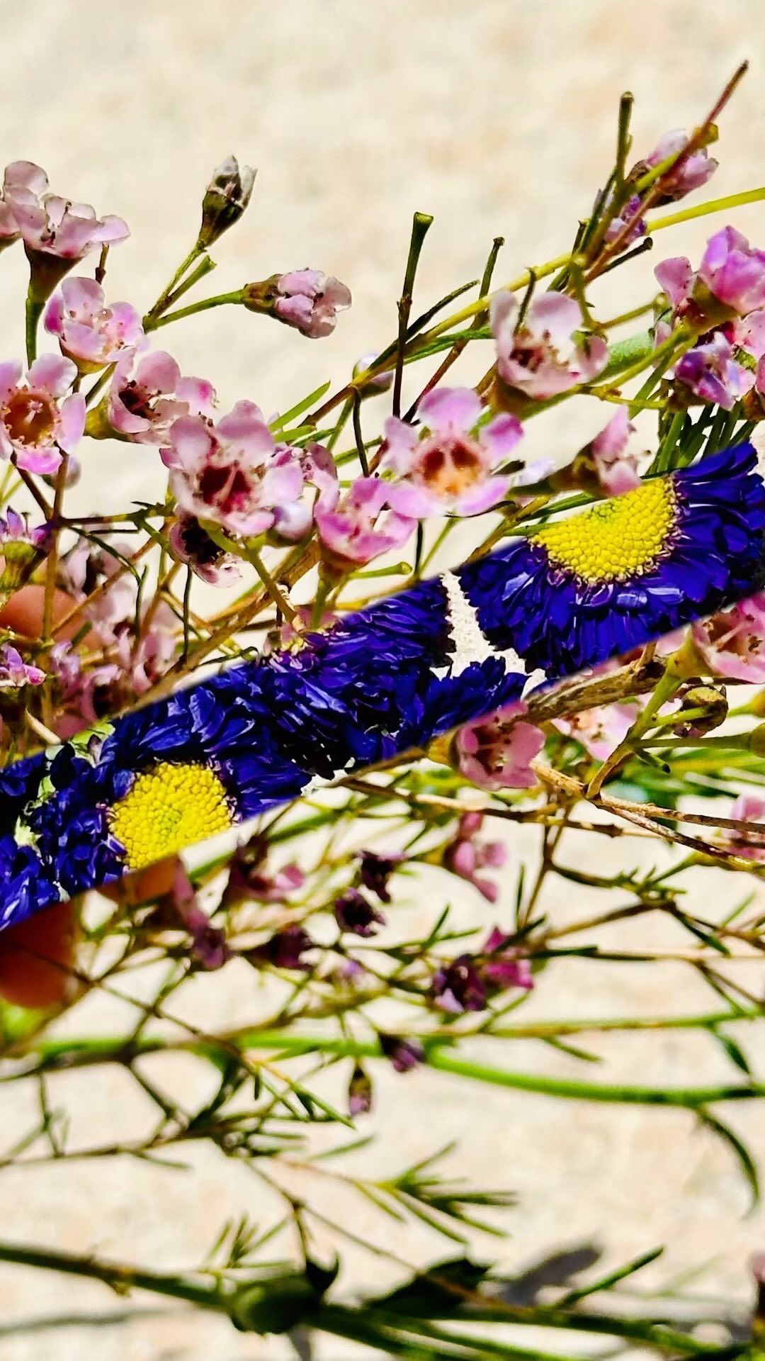 A person is holding a bunch of flowers in their hand.