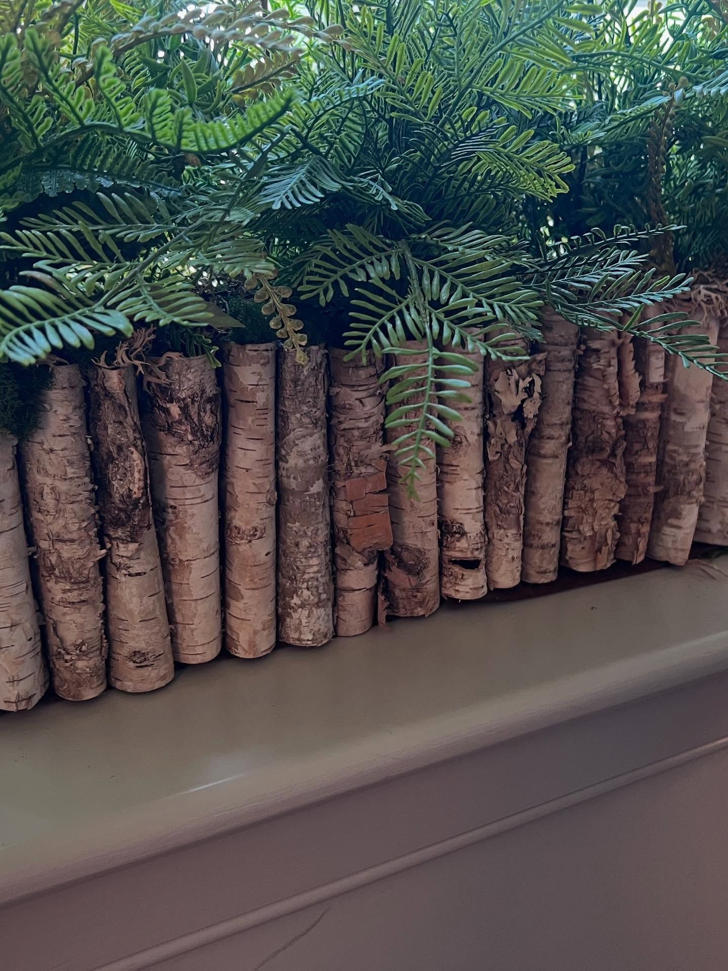A row of birch logs and ferns on a window sill.