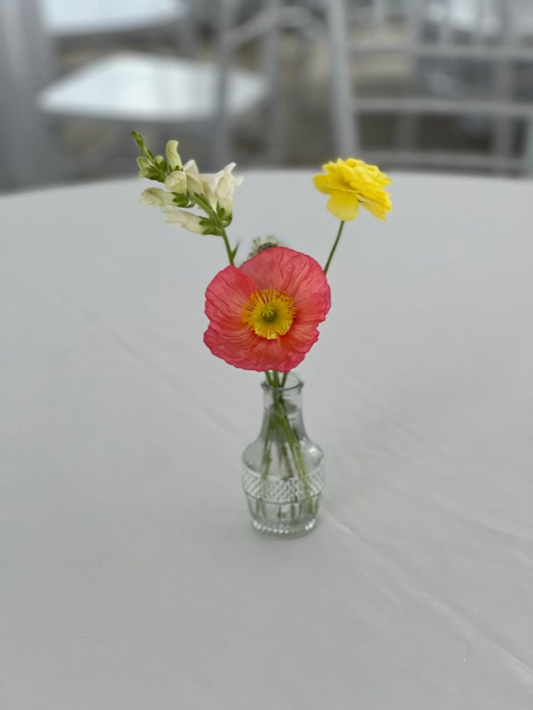 Small flower arrangement in a clear vase on a white tablecloth. Includes a red poppy, yellow flower, and white snapdragon.