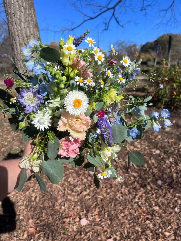 A vibrant bouquet of wildflowers in shades of pink, white, blue, and yellow, held outdoors in front of a tree.
