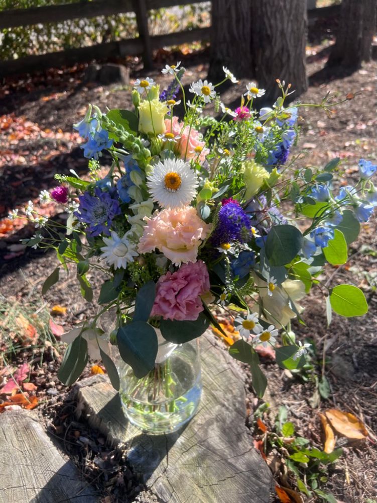 A colorful bouquet of flowers in a glass jar, set on a tree stump.  Includes pink, blue, and white blooms.