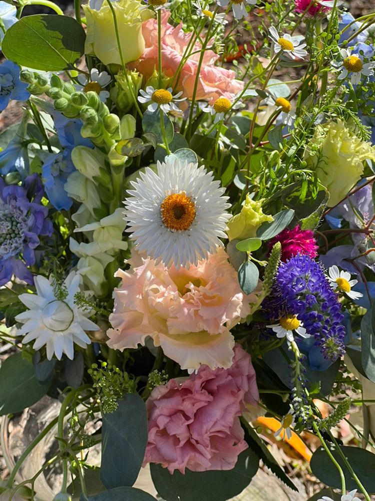 Close-up of a colorful bouquet with daisies, lisianthus, and blue delphiniums. Lush arrangement with a variety of textures and hues.