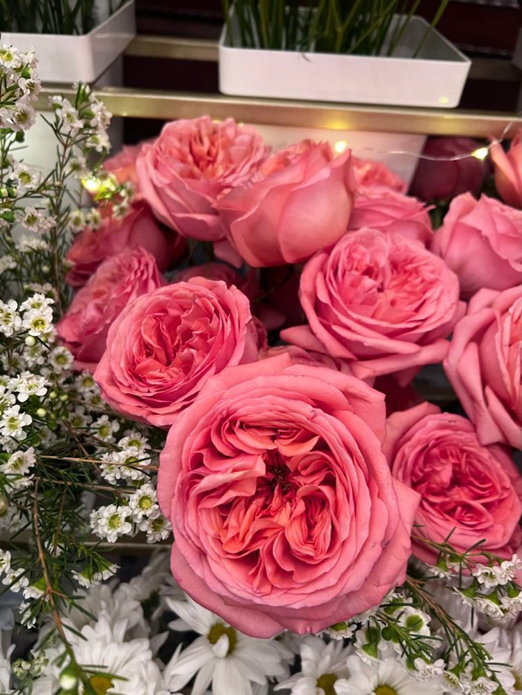 Pink roses in full bloom surrounded by white daisies and greenery; the flowers are in a display.