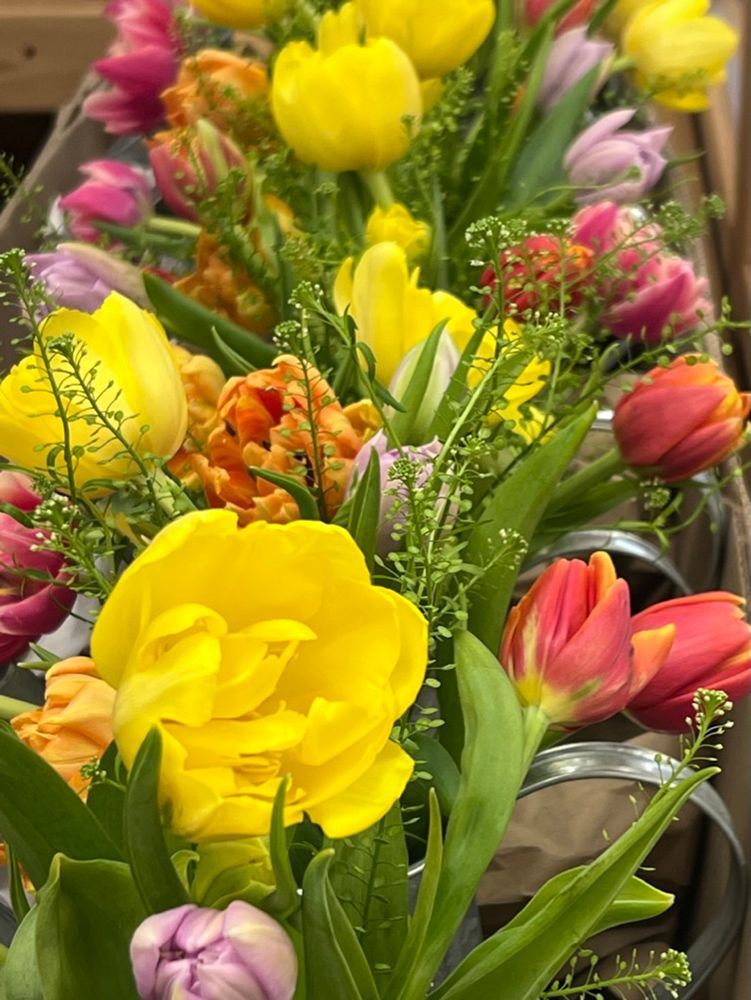 Close-up of colorful tulips, including yellow, pink, and orange blooms, in a metal container.