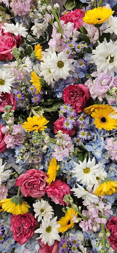 Close-up of colorful flowers: white daisies, yellow gerberas, pink roses, and blue hydrangeas.